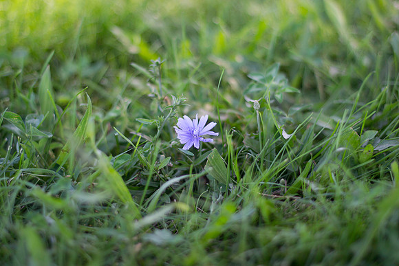 DSC_0100