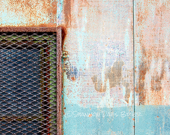 DSC_8358