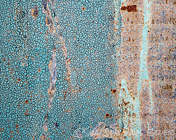 DSC_8356